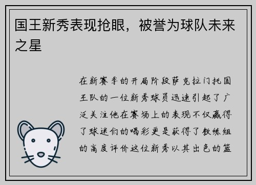国王新秀表现抢眼，被誉为球队未来之星