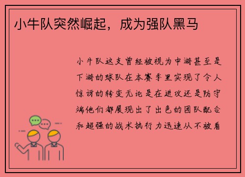 小牛队突然崛起，成为强队黑马
